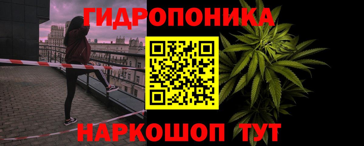 Бошки Шишки план Пыть-Ях